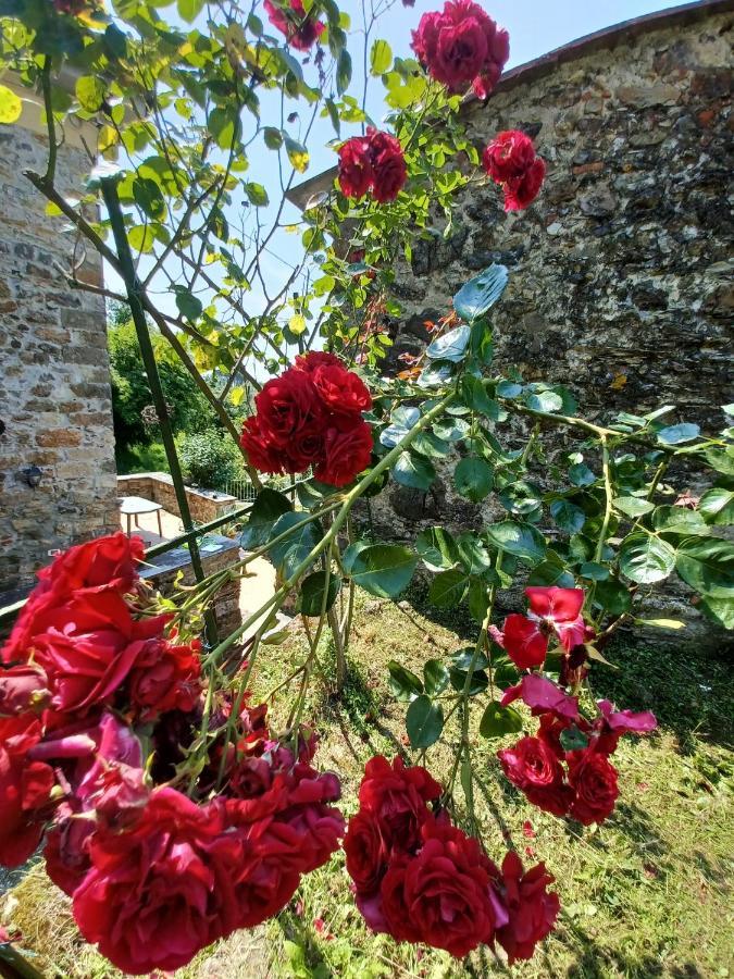 Il Fontolo Vila Ponzano Superiore Exterior foto