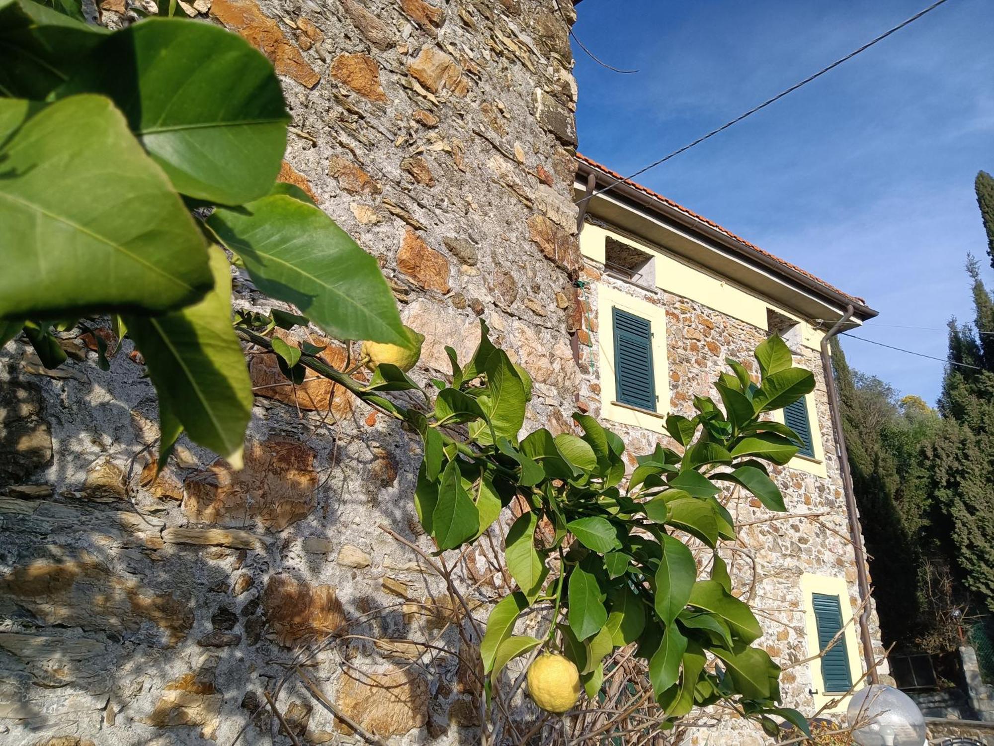 Il Fontolo Vila Ponzano Superiore Exterior foto