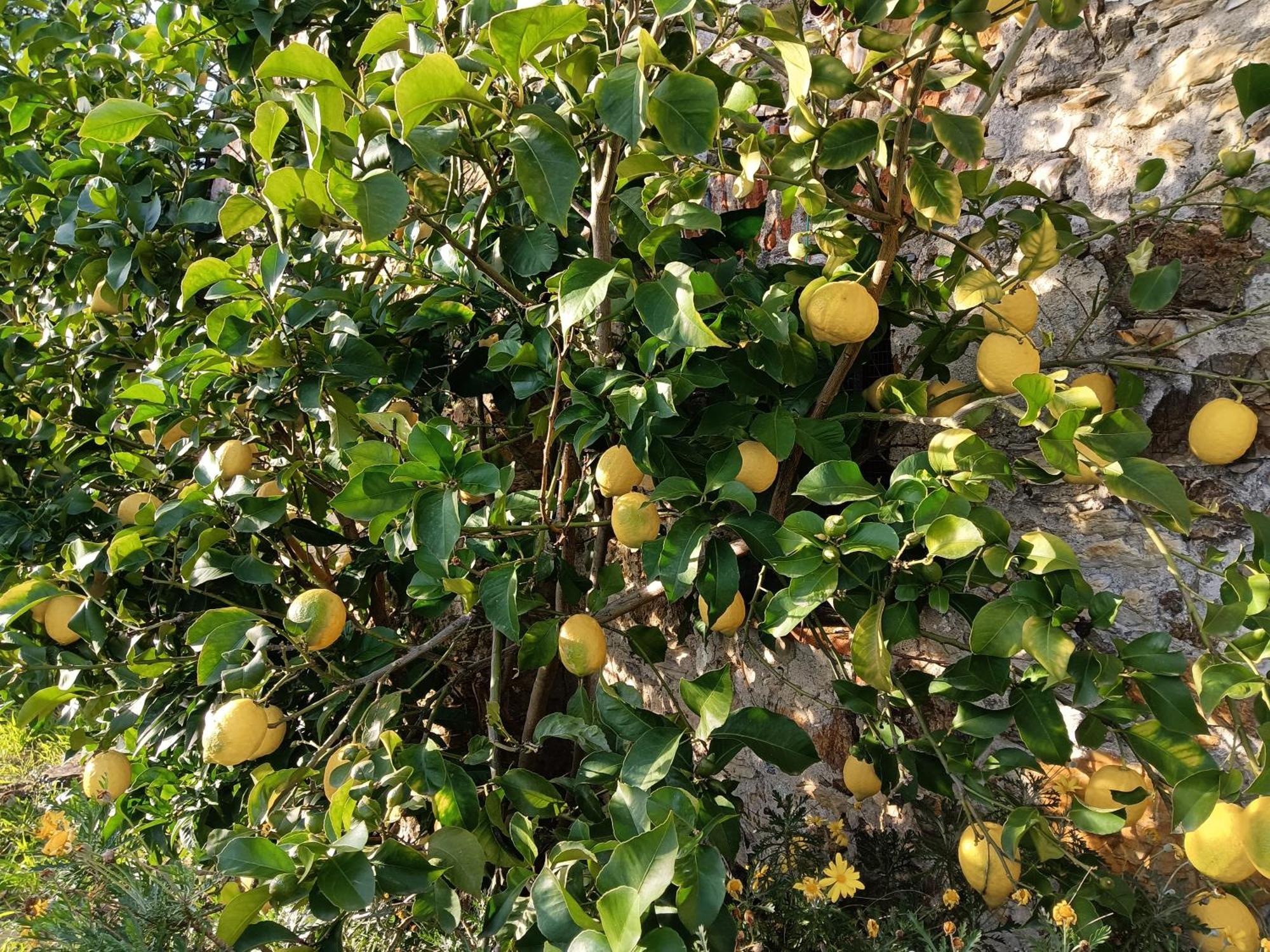 Il Fontolo Vila Ponzano Superiore Exterior foto