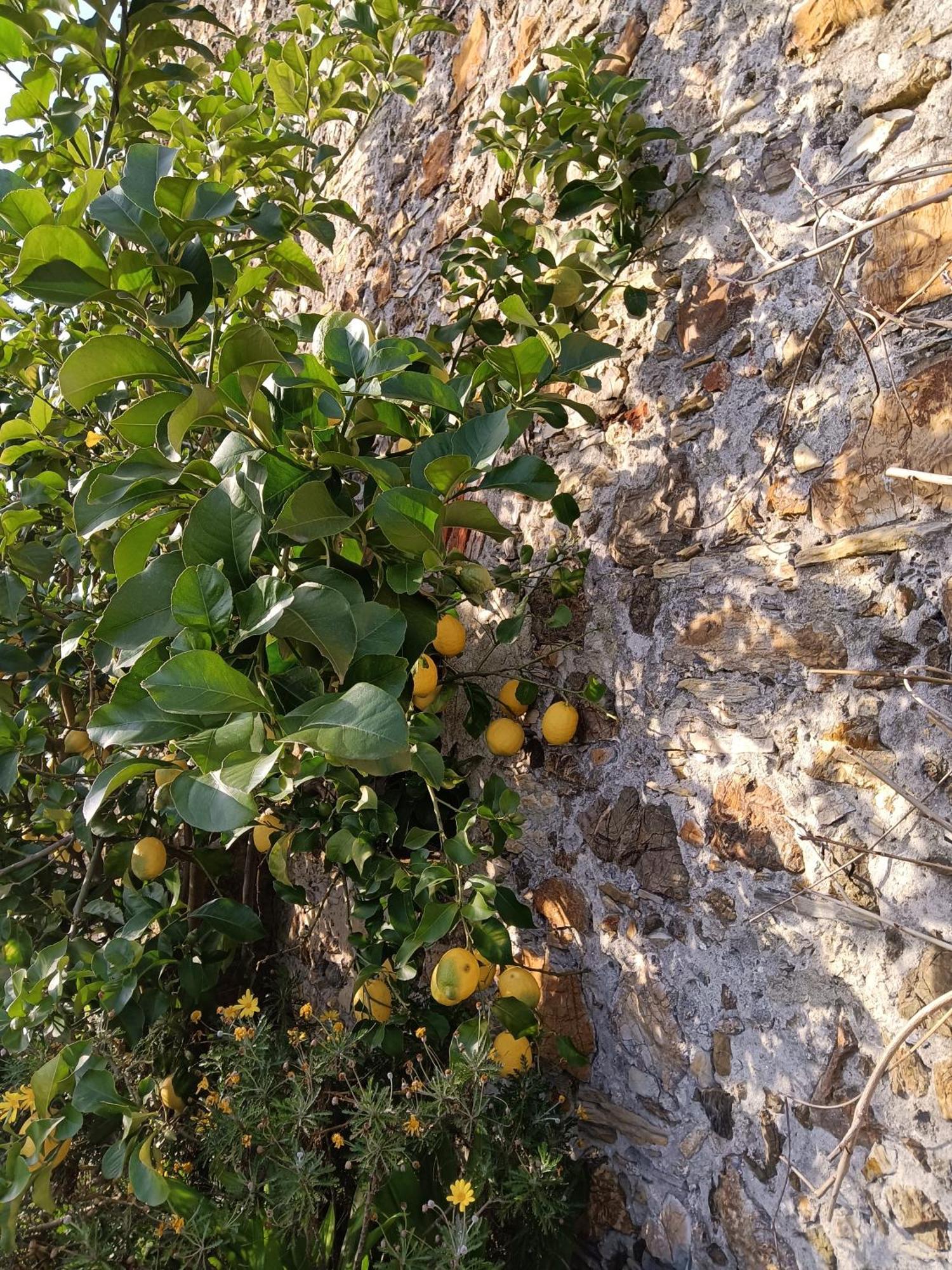 Il Fontolo Vila Ponzano Superiore Exterior foto