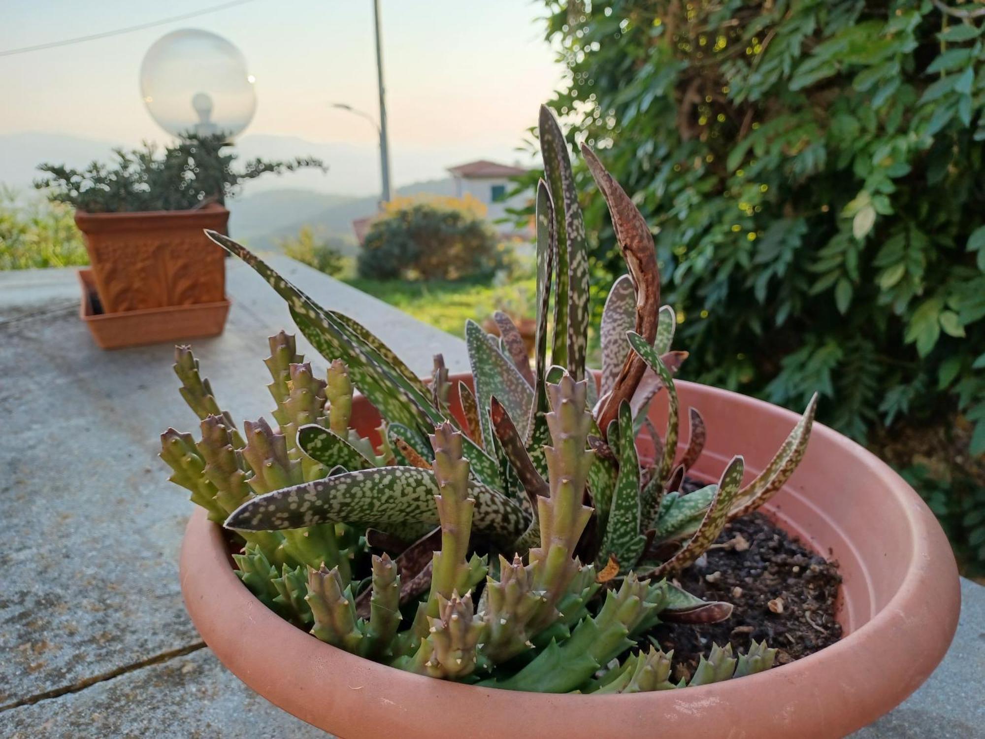 Il Fontolo Vila Ponzano Superiore Exterior foto