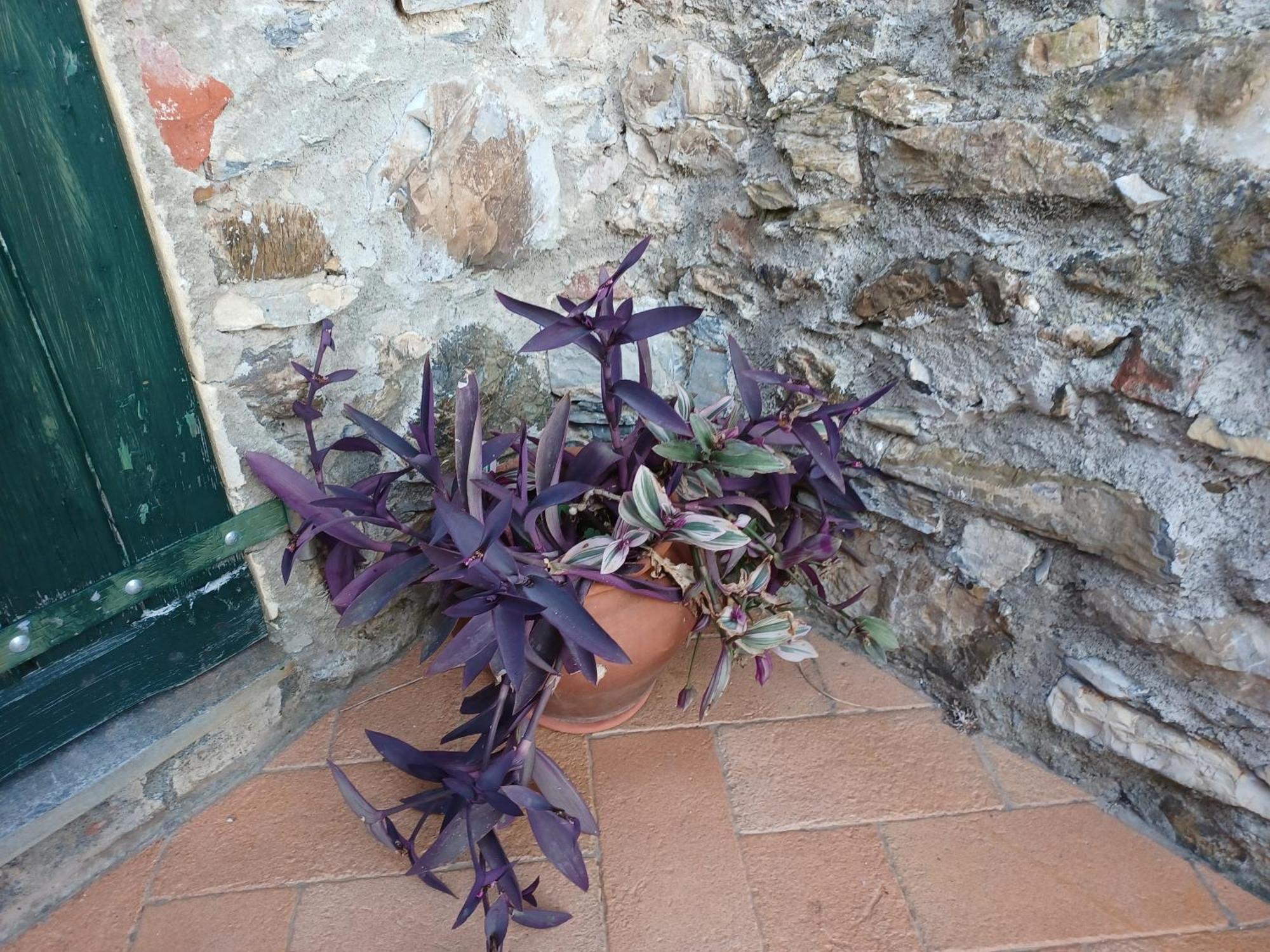 Il Fontolo Vila Ponzano Superiore Exterior foto