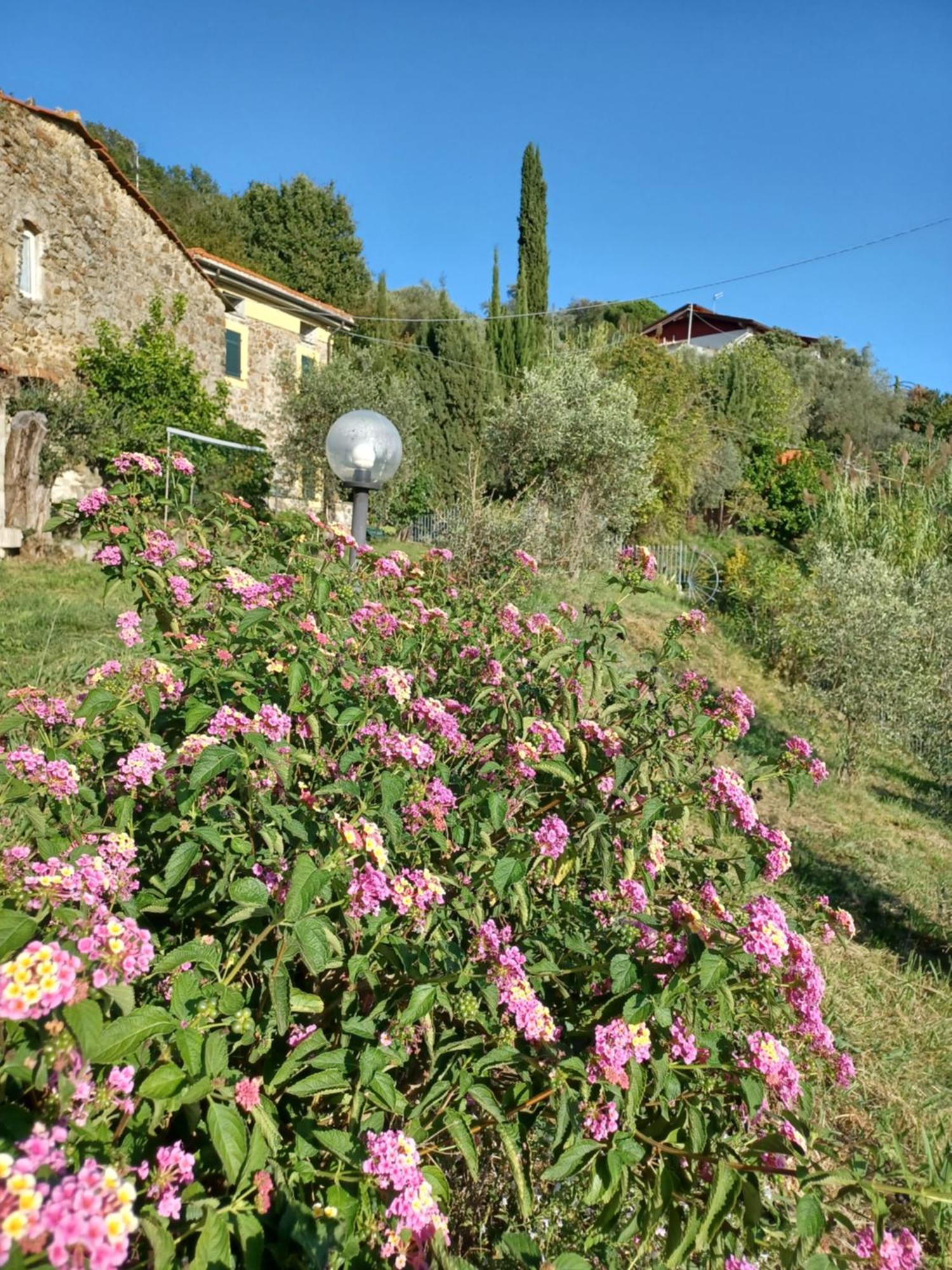 Il Fontolo Vila Ponzano Superiore Exterior foto