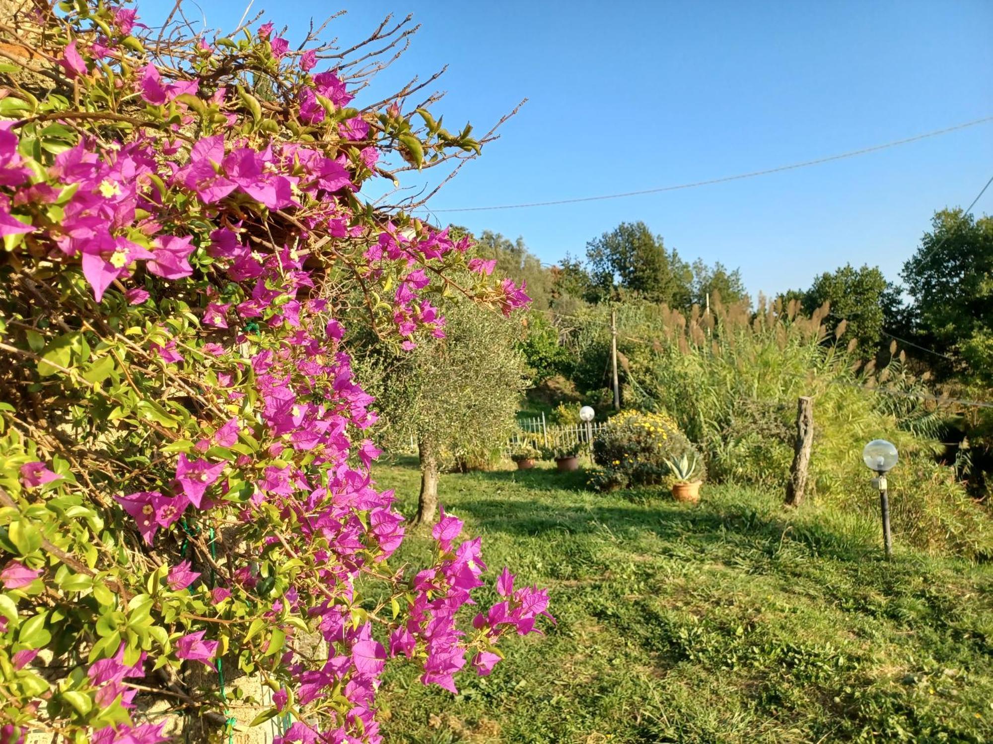 Il Fontolo Vila Ponzano Superiore Exterior foto