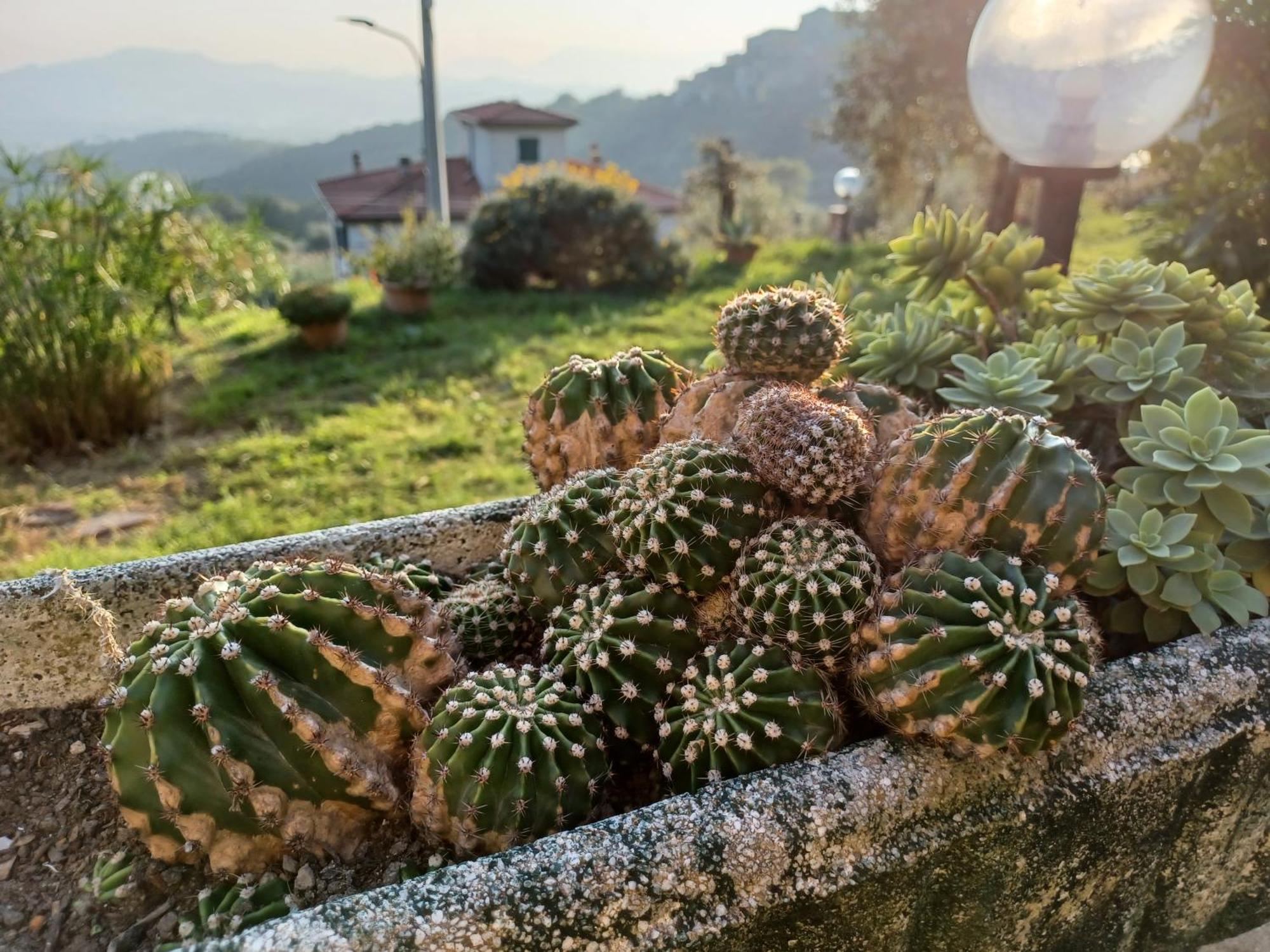 Il Fontolo Vila Ponzano Superiore Exterior foto